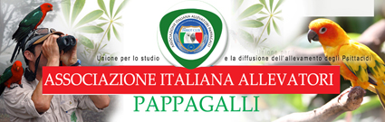 banner aiap